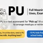 What Does PU Mean in a Text? Full Meaning, Uses, Examples