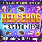 What Hedgehog Means in Text